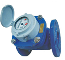 Totalizing Turbine Water Meter Model Series WP