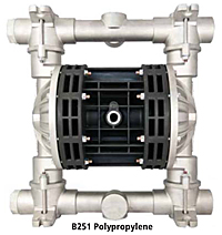 Model B251