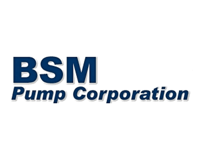 bsm